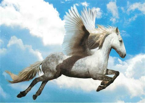 pegasus winged horse  greek mythology flying   sky postcard