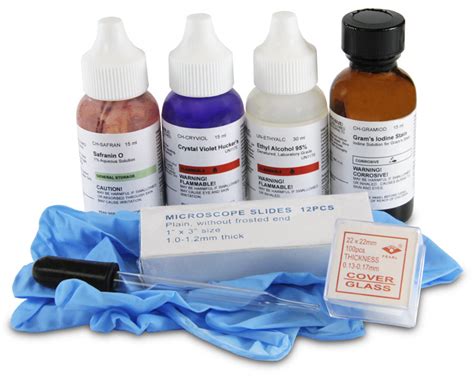 gram stain kit learn   gram stain test steps   kit