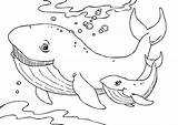Whale Baby Mother Pages Coloring Printable Categories Sheets sketch template
