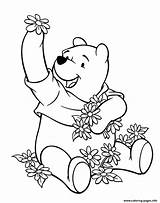 Pooh Winnie Flowers Coloring Pages Printable sketch template