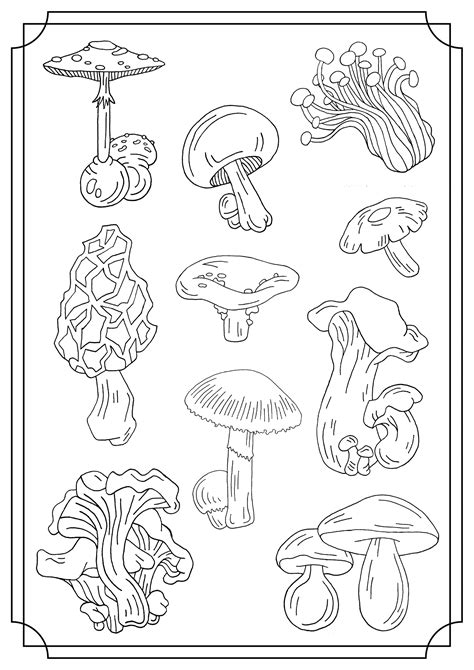 printable mushroom coloring pages printable templates