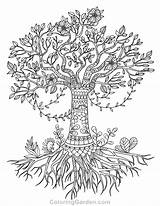Coloring Tree Pages Life Olive Roots Adult Adults Drawing Printable Simple Coloringgarden Pecan Trunk Color Mandala Book Drawings Celtic Template sketch template