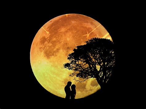 lovers pair moon · free photo on pixabay