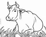 Kuh Ausmalbilder Vaca Cool2bkids Vacas Cows Koleksi Lembu Imprimir Kanak Holstein Membuat Kreatif Mewarna sketch template
