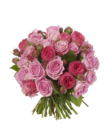 pink roses flowers bouquet   hq png image freepngimg