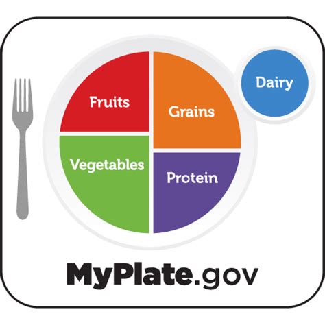 Myplate Food Groups The Ultimate Guide To Pursuing Balanced Nutrition