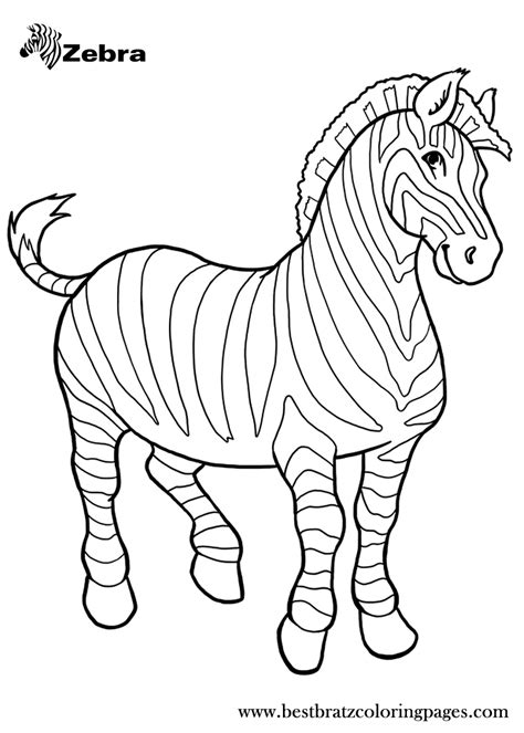 printable zebra coloring pages  kids coloring pages