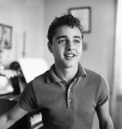 sal mineo the forgotten juvenile delinquent beyond boundaries