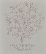 Cherokee Rose Patterns Illustration Painting Pencil sketch template