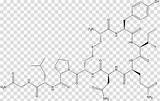 Oxytocin Background Chemical Transparent Formula Molecule Organic Chemistry Clipart Hiclipart sketch template