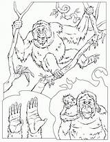 Chimpanzee Coloriage Orangutan Mono Simios Planeta Coloring4free Ausmalbilder Enseignement Kolorowanki Szympans Ausmalbild Didattica 1090 Bestcoloringpagesforkids Pongo Dzieci Dibujar Nationalgeographic sketch template