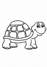Tortoise Indiaparenting sketch template