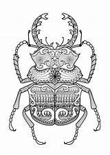 Coloring Zentangle Pages Beetle Adult Mandala Kids Adults Color Patterns Printable Children Beetles Print Colouring Incredible Animal Extraordinary Book Simple sketch template