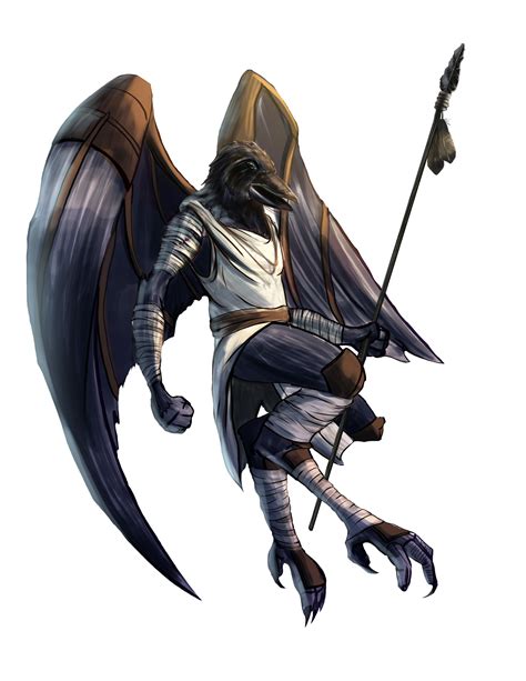 aarakocra raven variant original artwork imgur fantasy races fantasy warrior fantasy rpg