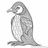 Coloring Penguin Pages Zentangle Adult Adults Stress Books Anti Illustartion King Tattoos Book Details High Adu Bird Colorings Vector sketch template