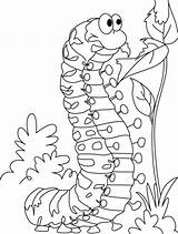 Coloring Caterpillar Pages Satisfying Hungry Printable Very Butterfly Hunger Dominican Printables Sheets Drawing Flag Kids Colouring Insect Republic Sheet Clipart sketch template