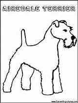 Terrier Coloring Pages Scottish Airedale Getcolorings sketch template