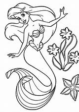 Ariel Mewarnai Duyung Meerjungfrau Arielle Puteri Mewarna Desenhar Kertas Pagine Sirene Druckbare Boleh Cetak sketch template