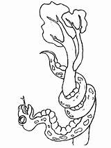 Coloring Pages Snakes Snake Snake4 Printable Coloringpagebook Easily Print Advertisement Popular sketch template
