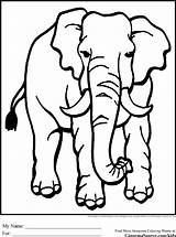Animals Coloring Pages Endangered Animal African Drawing Elephant Para Colorear Clipart Elefantes Jungle Savanna Printable Templates Easy Drawings Zoo Wild sketch template