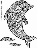 Mandala Ausmalbilder Delfin Erwachsene Raskraski sketch template