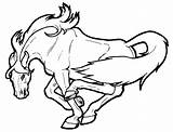 Colorir Desenhos Cavalos Mustang sketch template