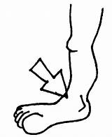 Clipart Ankle Coloring Body Cliparts Back Clip Chin Pages Line Drawings Human Parts Outline Broken Sprained Sprain Edupics Library Finger sketch template