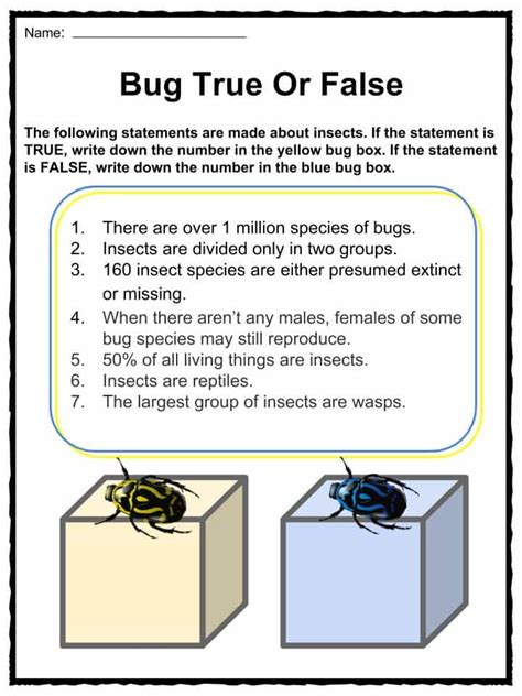 printable insect fact sheets printable word searches