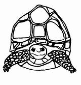Coloring Pages Tortoise Tortoises Animal Animated Turtles Print Coloringpages1001 Gifs sketch template