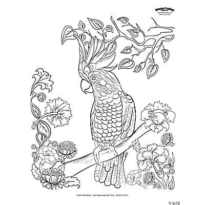parrot scene adult coloring page  printable oriental trading