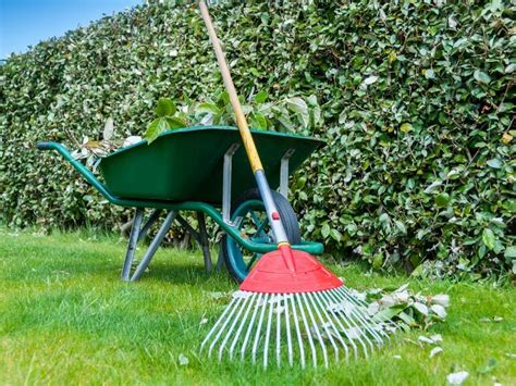 7 Spring Cleaning Tips For Your Yard Dig This Design