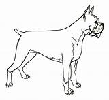 Boxer Dog Coloring Pages Hideous Print Button Using Grab Feel Could Well Right Size sketch template