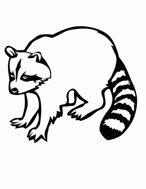 printable raccoon coloring pages