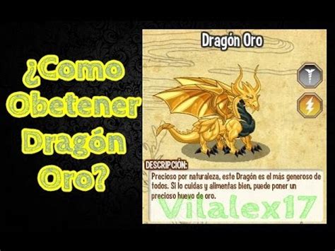 como obtener dragon oro    gold dragon youtube