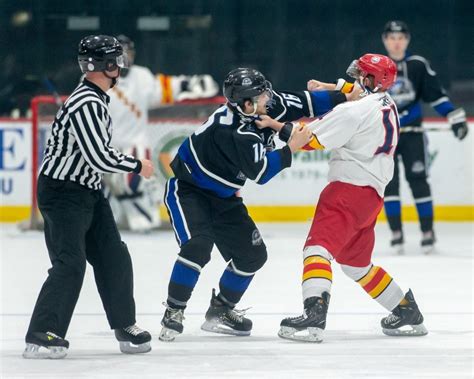 hockey fights real  nhl code big shot hockey