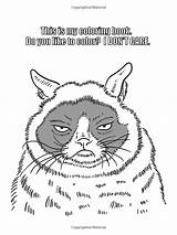Coloring Dover Grumpy Cat Amazon Publications sketch template