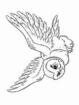 Potter Hedwig Slytherin Kleurplaten Paradijs sketch template