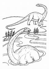 Coloring Brachiosaurus Diplodocus Dinosaur Template Popular sketch template
