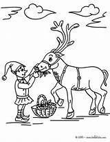 Reindeer Pages Coloring Christmas Elf Sprite Feeding Color Print Santa sketch template