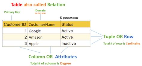 relational data model  dbms  concepts