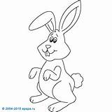 Hase Kaninchen Lernen Kanin Leprotto Malen Disegnare Djur Hur Papa Ritar Teckna Schritt sketch template