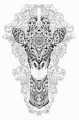 Coloring Pages Adult Safari Giraffe Adults Popular sketch template