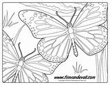 Butterfly Coloring Monarch Printable Use Prohibited Educational Commercial Personal Only Timvandevall sketch template