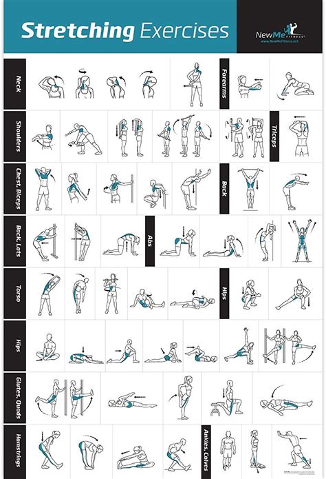 amazoncom stretching exercise poster laminated shows