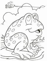 Coqui Frog Drawing Paintingvalley sketch template