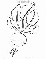 Turnip Coloring Pages Printable Kids Colorir Sheets Colouring Giant Vegetables Red Bestcoloringpages Atividades Dia Da Escolha Pasta sketch template