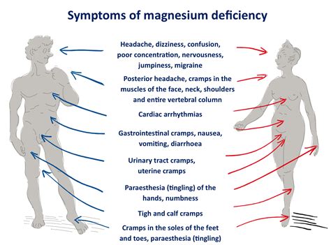 south africans are magnesium deficient fuelling disease