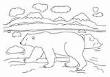 Polar Bear Coloring Pages Arctic Sheets Kids Printable Animals Template Bears Color Sheet Habitat Bestcoloringpagesforkids Ice Animal Print Craft Activity sketch template