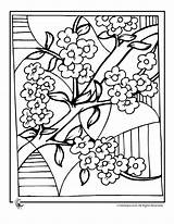 Cherry Blossom Coloring Pages Blossoms Colouring Japanese Tree Adult Sheets Japan Chinese Drawing sketch template