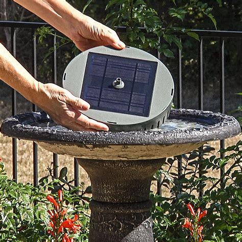 solar birdbath fountain kit national garden bureau   bird